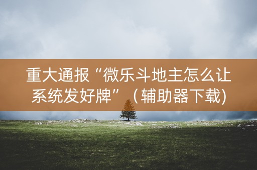 重大通报“微乐斗地主怎么让系统发好牌”（辅助器下载)