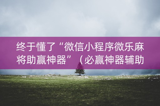 终于懂了“微信小程序微乐麻将助赢神器”（必赢神器辅助器)