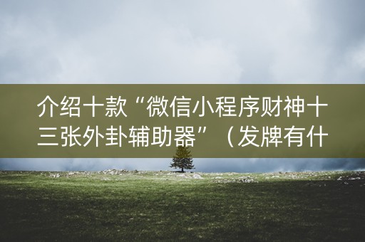 介绍十款“微信小程序财神十三张外卦辅助器”（发牌有什么规律吗)