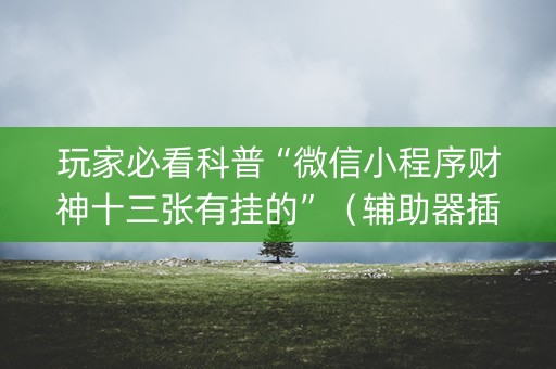 玩家必看科普“微信小程序财神十三张有挂的”（辅助器插件)