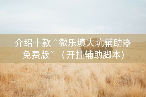 介绍十款“微乐填大坑辅助器免费版”（开挂辅助脚本)
