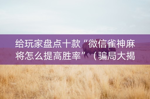 给玩家盘点十款“微信雀神麻将怎么提高胜率”（骗局大揭秘)