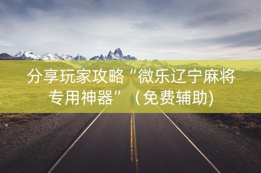 分享玩家攻略“微乐辽宁麻将专用神器”（免费辅助)