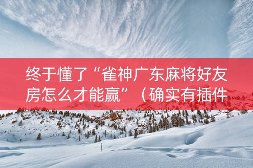 终于懂了“雀神广东麻将好友房怎么才能赢”（确实有插件吗)