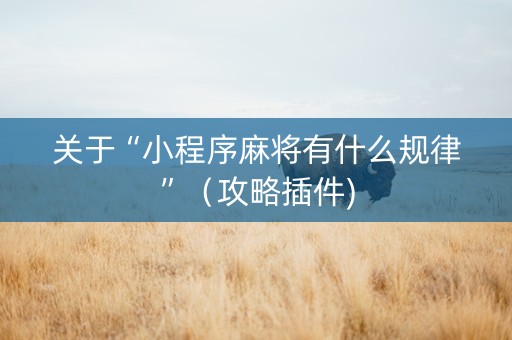 关于“小程序麻将有什么规律”（攻略插件)