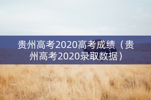 贵州高考2020高考成绩（贵州高考2020录取数据）