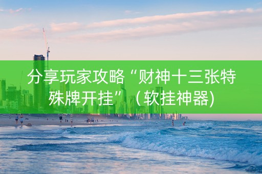 分享玩家攻略“财神十三张特殊牌开挂”（软挂神器)