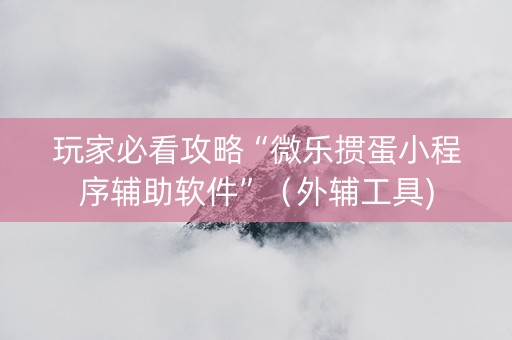 玩家必看攻略“微乐掼蛋小程序辅助软件”（外辅工具)