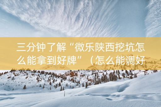 三分钟了解“微乐陕西挖坑怎么能拿到好牌”（怎么能调好牌)