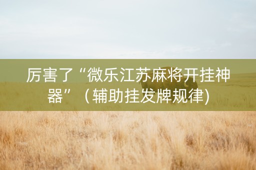 厉害了“微乐江苏麻将开挂神器”（辅助挂发牌规律)