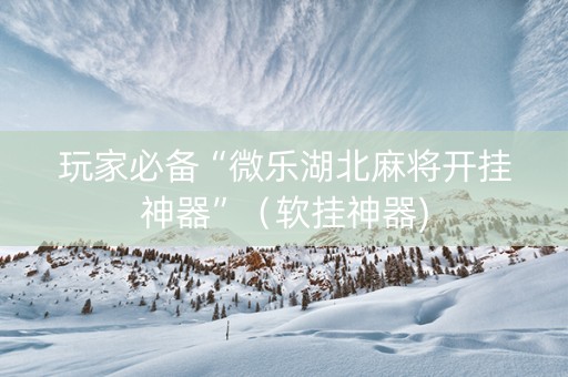 玩家必备“微乐湖北麻将开挂神器”（软挂神器)