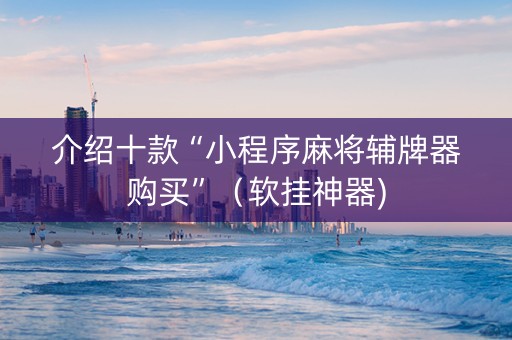 介绍十款“小程序麻将辅牌器购买”（软挂神器)