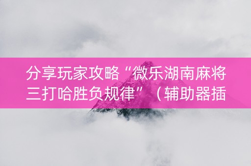 分享玩家攻略“微乐湖南麻将三打哈胜负规律”（辅助器插件)