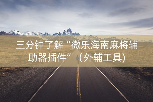 三分钟了解“微乐海南麻将辅助器插件”（外辅工具)