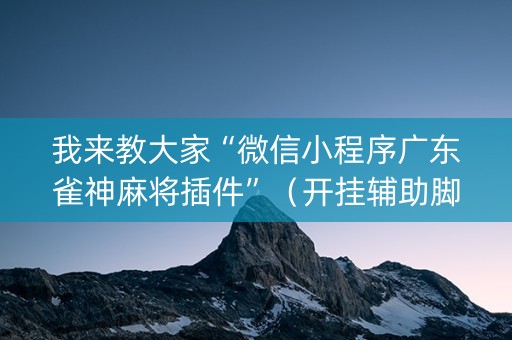我来教大家“微信小程序广东雀神麻将插件”（开挂辅助脚本)