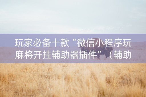 玩家必备十款“微信小程序玩麻将开挂辅助器插件”（辅助神器免费)