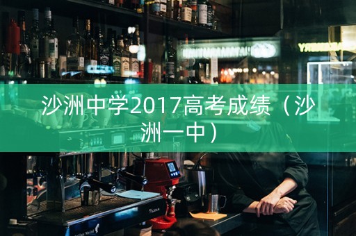 沙洲中学2017高考成绩（沙洲一中）