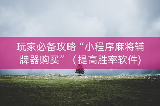 玩家必备攻略“小程序麻将辅牌器购买”（提高胜率软件)