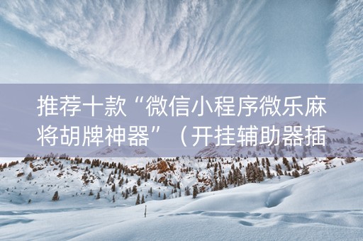推荐十款“微信小程序微乐麻将胡牌神器”（开挂辅助器插件)