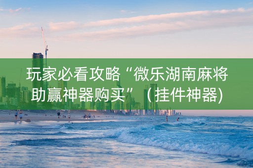 玩家必看攻略“微乐湖南麻将助赢神器购买”（挂件神器)