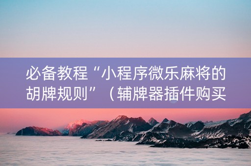 必备教程“小程序微乐麻将的胡牌规则”（辅牌器插件购买)