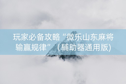 玩家必备攻略“微乐山东麻将输赢规律”（辅助器通用版)