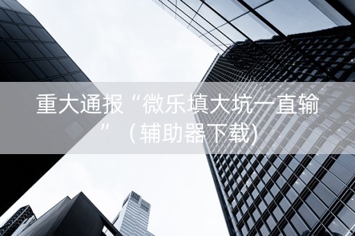 重大通报“微乐填大坑一直输”（辅助器下载)