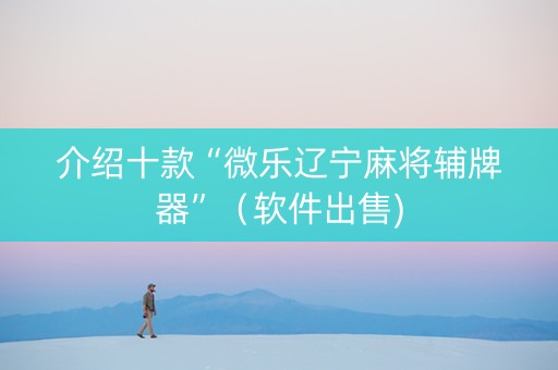 介绍十款“微乐辽宁麻将辅牌器”（软件出售)