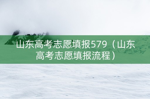 山东高考志愿填报579（山东高考志愿填报流程）