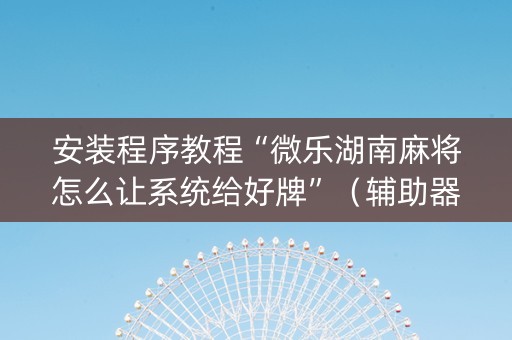 安装程序教程“微乐湖南麻将怎么让系统给好牌”（辅助器通用版)