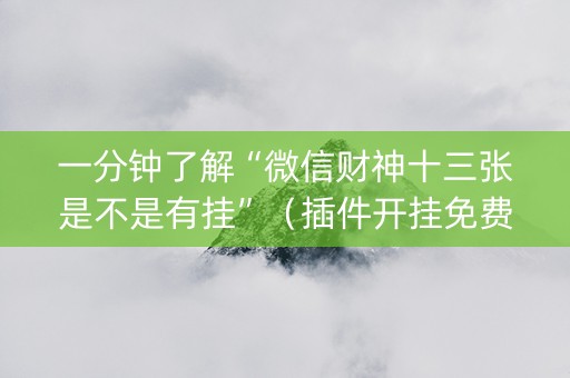 一分钟了解“微信财神十三张是不是有挂”（插件开挂免费AI)