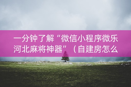一分钟了解“微信小程序微乐河北麻将神器”（自建房怎么赢)