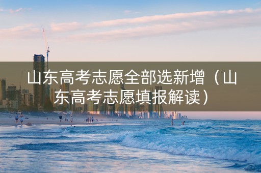 山东高考志愿全部选新增（山东高考志愿填报解读）