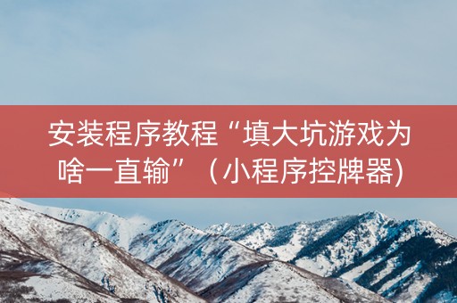 安装程序教程“填大坑游戏为啥一直输”（小程序控牌器)