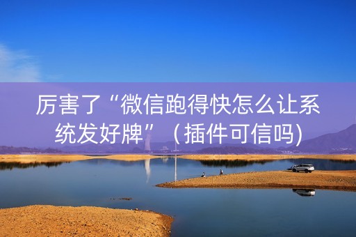 厉害了“微信跑得快怎么让系统发好牌”（插件可信吗)