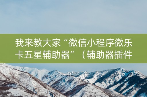 我来教大家“微信小程序微乐卡五星辅助器”（辅助器插件)
