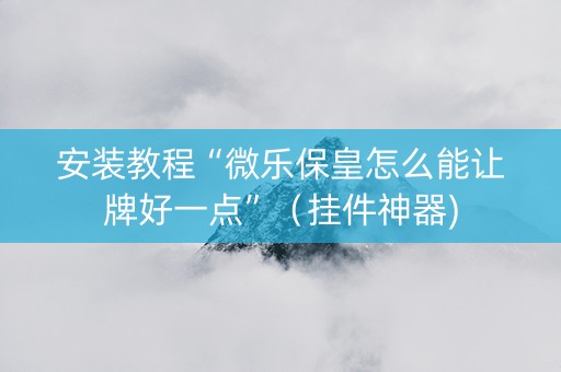 安装教程“微乐保皇怎么能让牌好一点”（挂件神器)