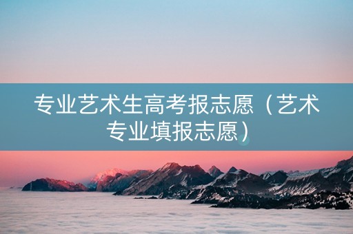 专业艺术生高考报志愿（艺术专业填报志愿）