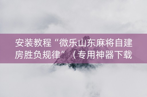 安装教程“微乐山东麻将自建房胜负规律”（专用神器下载)