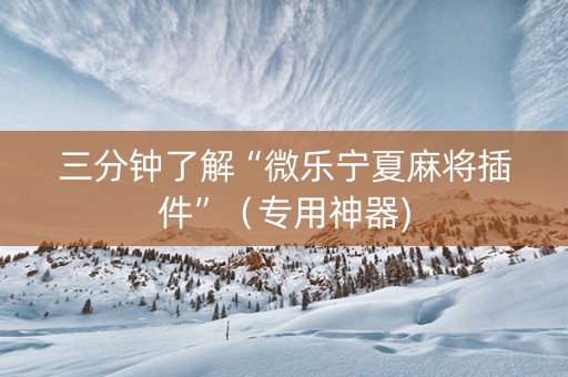 三分钟了解“微乐宁夏麻将插件”（专用神器)