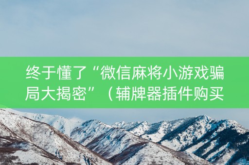终于懂了“微信麻将小游戏骗局大揭密”（辅牌器插件购买)