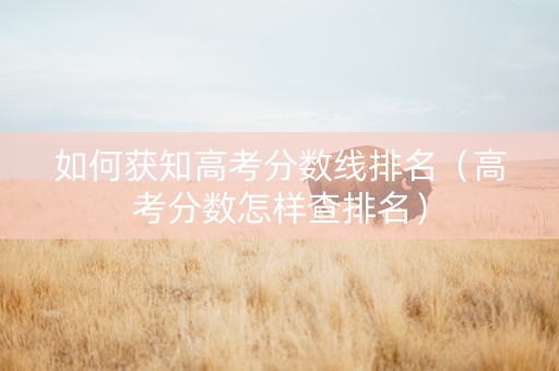 如何获知高考分数线排名（高考分数怎样查排名）