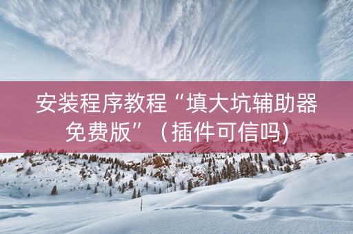 安装程序教程“填大坑辅助器免费版”（插件可信吗)