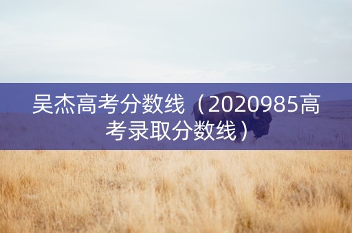 吴杰高考分数线（2020985高考录取分数线）