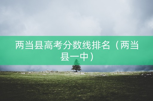 两当县高考分数线排名（两当县一中）