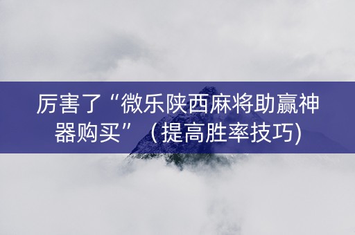 厉害了“微乐陕西麻将助赢神器购买”（提高胜率技巧)