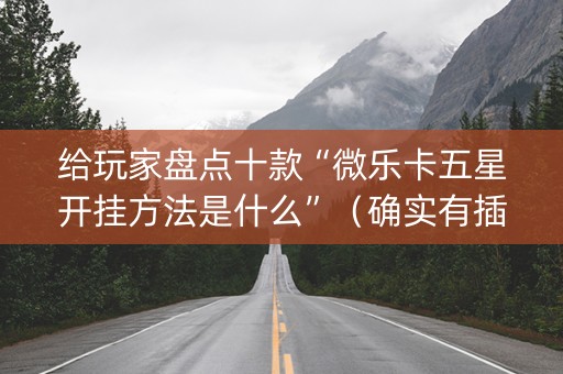 给玩家盘点十款“微乐卡五星开挂方法是什么”（确实有插件吗)