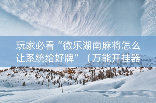 玩家必看“微乐湖南麻将怎么让系统给好牌”（万能开挂器)