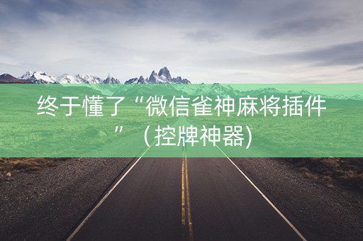 终于懂了“微信雀神麻将插件”（控牌神器)