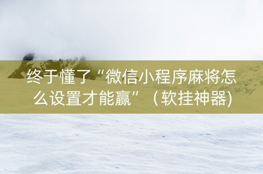 终于懂了“微信小程序麻将怎么设置才能赢”（软挂神器)